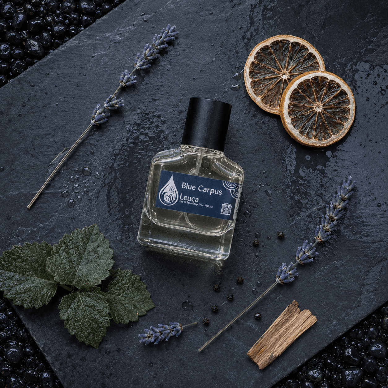 Botol dan kemasan parfum Leuca Blue Carpus
